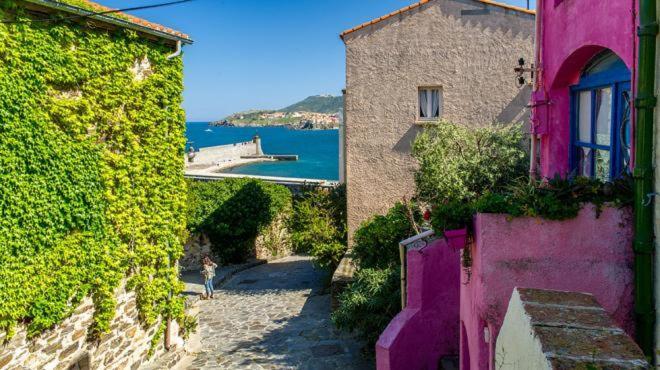 Studio Centre Plage Parking Gratuit Collioure Exterior foto