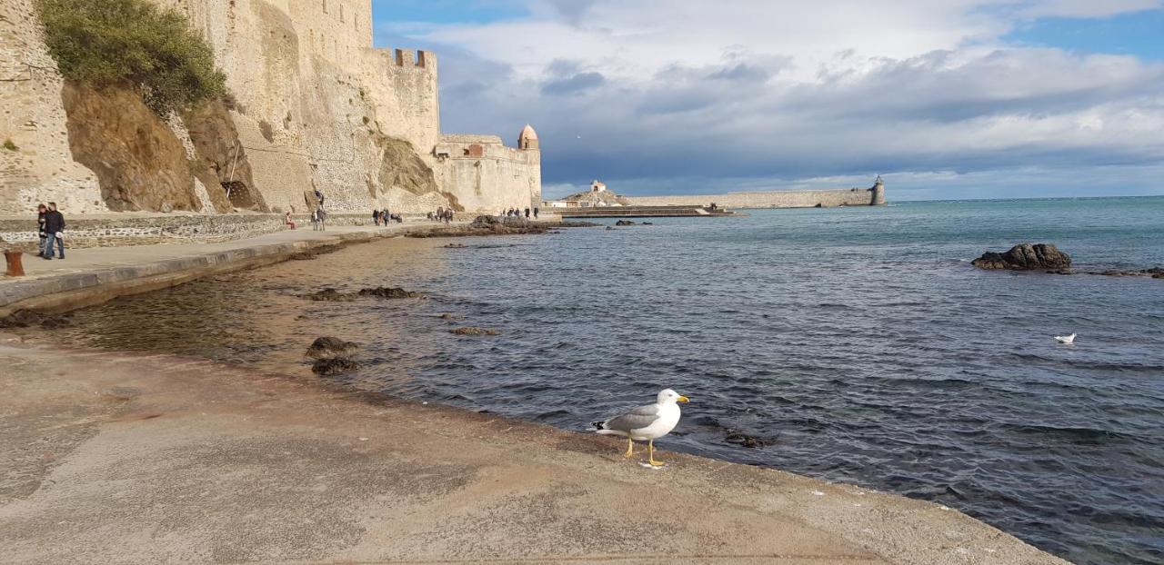 Studio Centre Plage Parking Gratuit Collioure Exterior foto